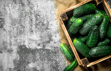 Similar image 15917092