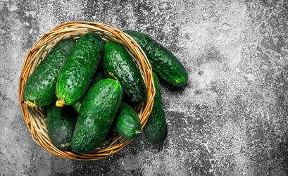 Similar image 15917171