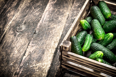 Similar image 15917532