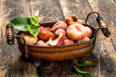 Similar image 15922513