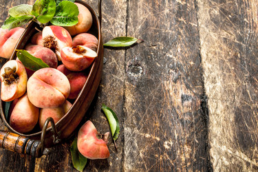 Similar image 15922553