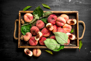 Similar image 15922733