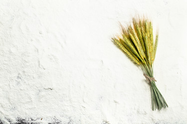 Similar image 15917777