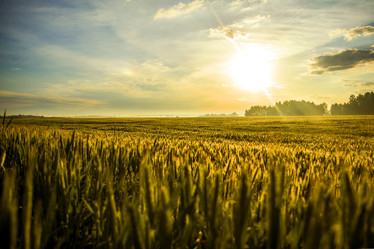 Similar image 15915403