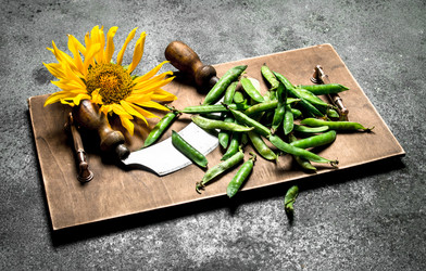 Similar image 15918060