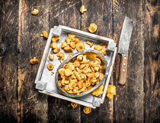 Similar image 15918205