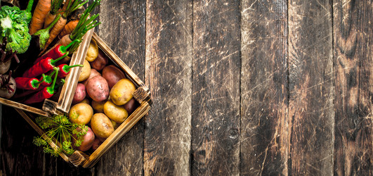 Similar image 15919902