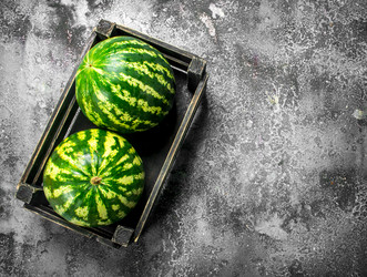 Similar image 15920114