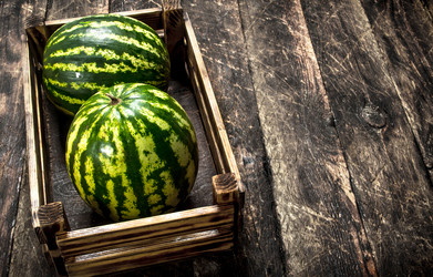 Similar image 15920273