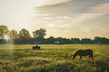 Similar image 15915404