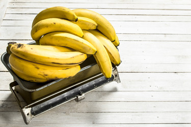 Similar image 15922482