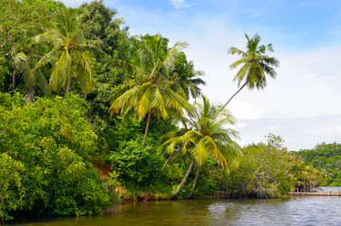 Similar image 15923464