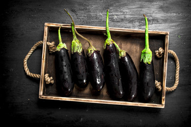 Similar image 15921875