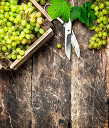 Similar image 15922329