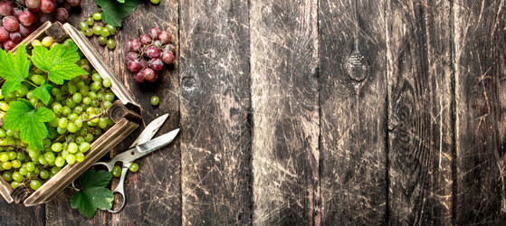 Similar image 15922375