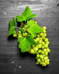 Similar image 15922575