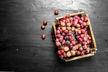 Similar image 15922667