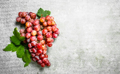 Similar image 15922690