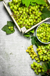 Similar image 15923214