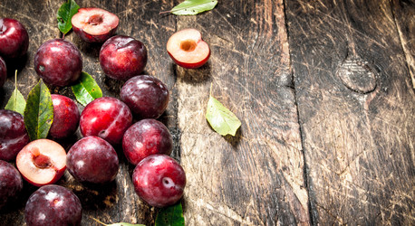 Similar image 15916524