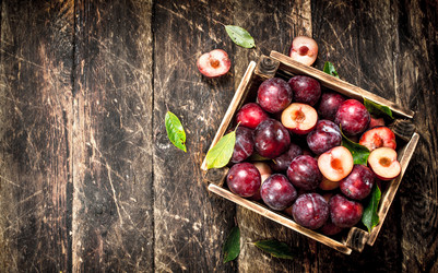 Similar image 15916606