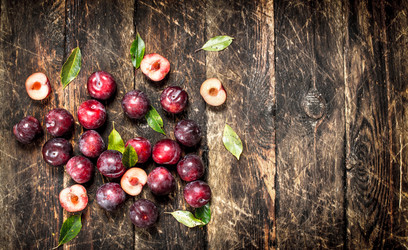 Similar image 15916659