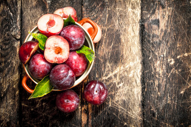 Similar image 15916899