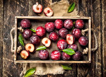 Similar image 15916969