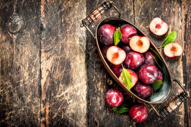 Similar image 15917039