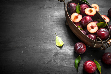 Similar image 15917074