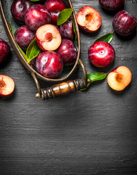 Similar image 15917095