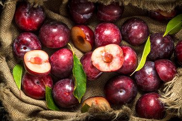 Similar image 15917174