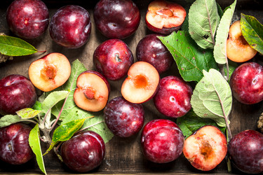 Similar image 15917227