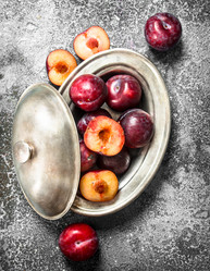 Similar image 15917443