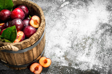 Similar image 15917477