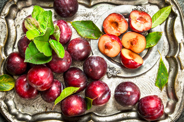 Similar image 15917503