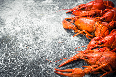 Similar image 15918328