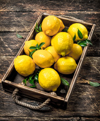 Similar image 15917042