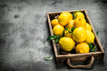 Similar image 15917638