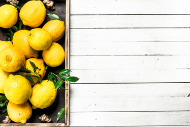 Similar image 15917648