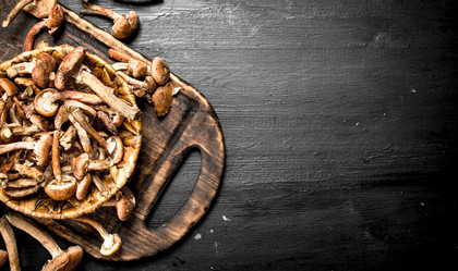 Similar image 15918015