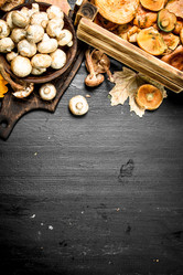 Similar image 15918044