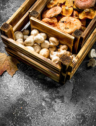 Similar image 15918450