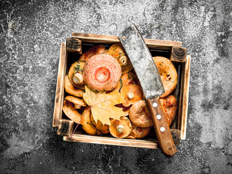 Similar image 15919653