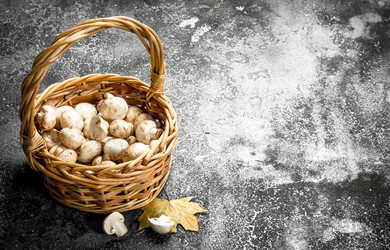 Similar image 15919688