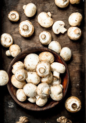 Similar image 15919815