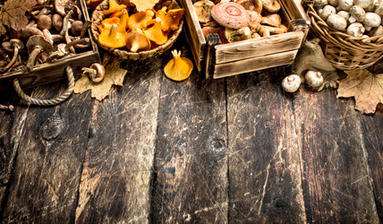 Similar image 15919866