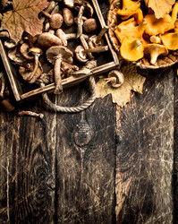 Similar image 15919887