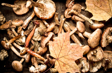 Similar image 15919904