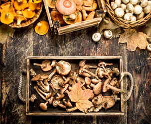 Similar image 15919923